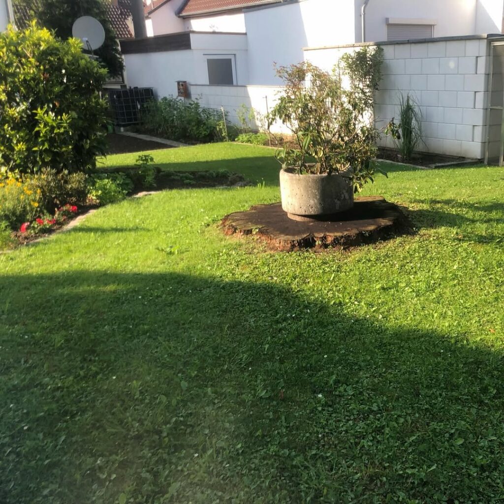 Wörner Baggerarbeiten Ihr zuverlässiger und termingerechter Partner für Erdbau-, Abbruch- und Gartenbauarbeiten sowie Lohnarbeiten für Privat- und Gewerbekunden in Leinfelden-Echterdingen und Umgebung.